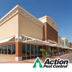 How To Keep Your Commercial Facility Pest Free Pest Control For KY Businesses