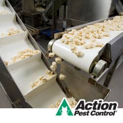 Learn about fumigation services for food processing plants in Indiana food processing plan in indiana