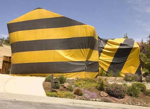 a pest control fumigation tent