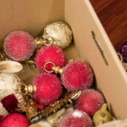 Don't Let Mice & Bugs Destroy Your Holiday Decorations holiday decorations in a cardboard box