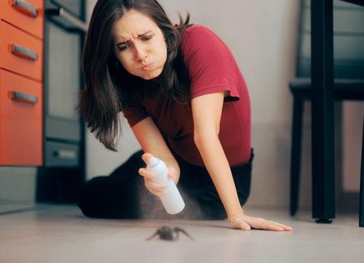 woman sitting on the floor spraying a spider with spider repellant