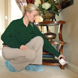 Year round pest control services keeps your home protected pest control tech checking a trap