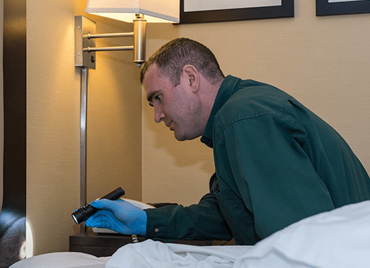 Protect Your Evansville Home And Family From Bed Bugs With Action Pest Control bed bug technician searching for bed bugs