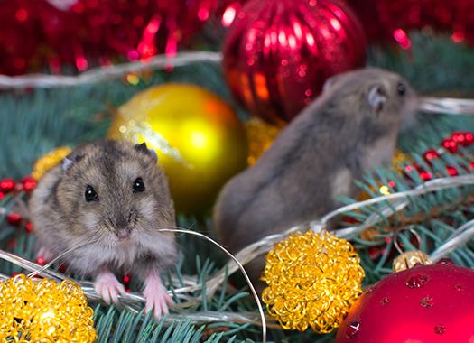 mice in christmas decor