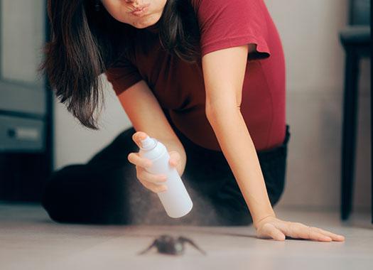 women treating for a spider
