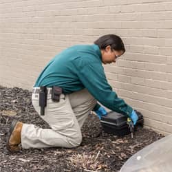 Learn More About Home Pest Control Services In Lexington action technician placing rodent bait station
