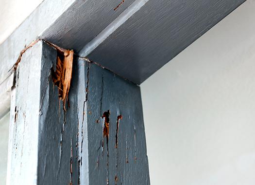termite damage on a door frame