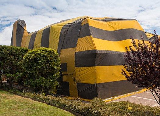 a termite fumigation tent