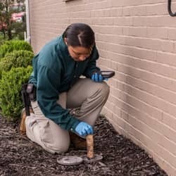 Learn More About Termite Prevention Programs pest control technician checking termite bait station