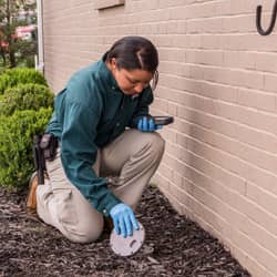 Protect Your Louisville Property From Termites With Action Pest Control termite technician checking bait station