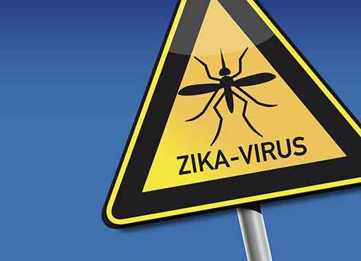 zika virus warning sign