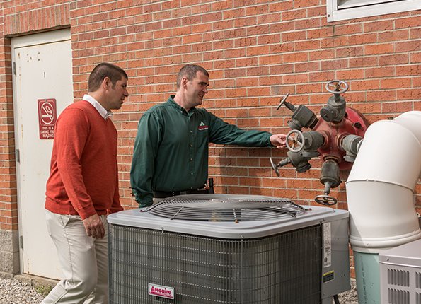 commercial pest control in georgetown ky