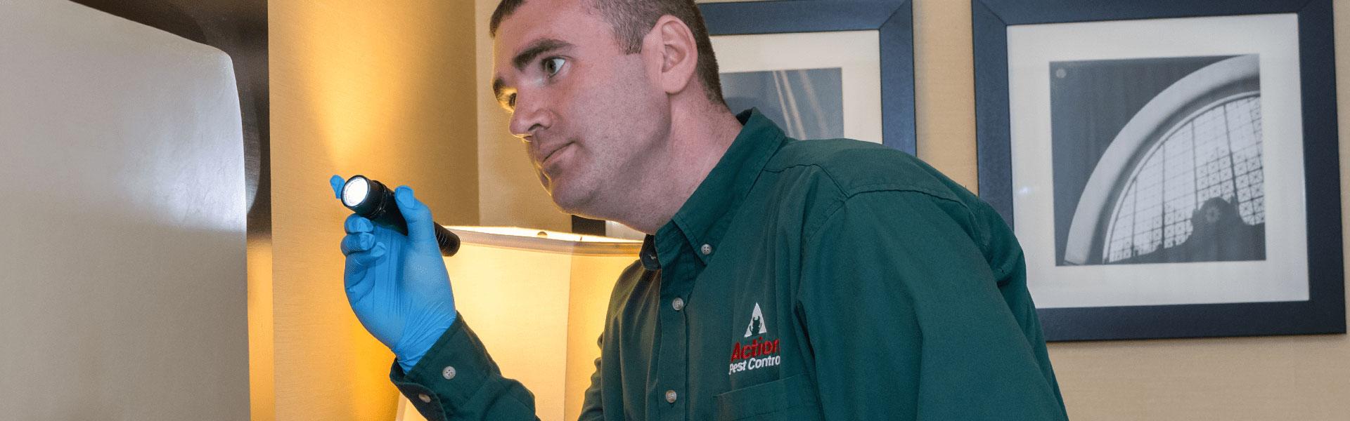 technician inspecting for bed bugs