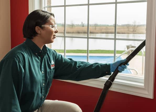 Interior Home Pest Control Services pest technician vacuuming windowsill