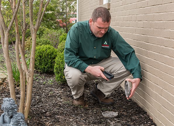 action termite control technician performing inspection