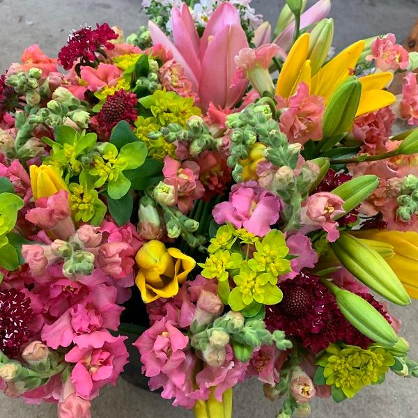 Where to find our fresh cut flowers