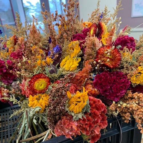 Dried Flowers