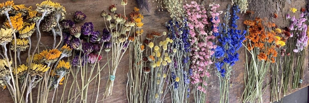 DRIED FLOWERS AT ROBIN’S FLOWER POT