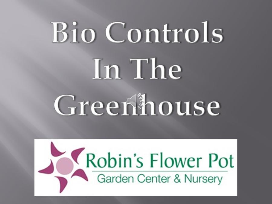Bio Controls in the Greenhouse
