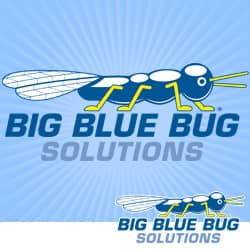 Big Blue Bug Solutions