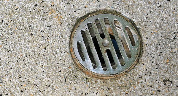 drain in commercial kitchen