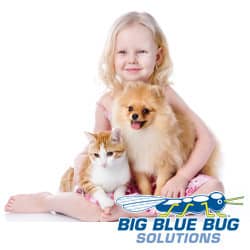 Fleas On Pets and Children