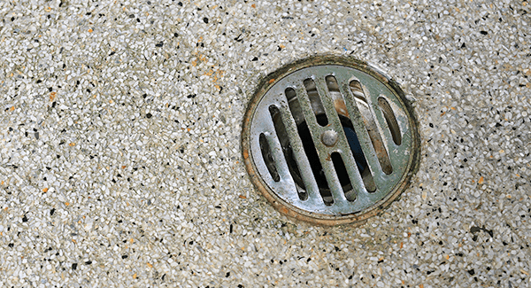 commercial floor drain