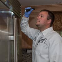 brandon from big blue bug inspecting a kitchen