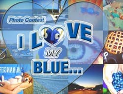 big blue bug photo contest