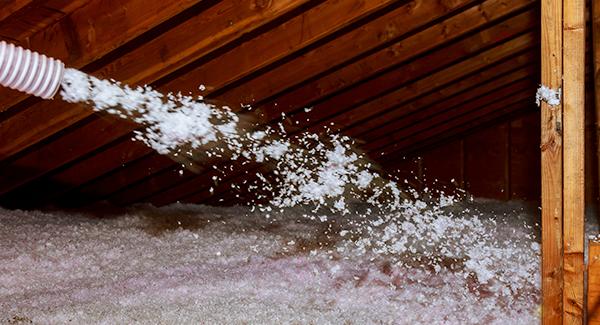 see the precess of spray in inselation that help to prevent pests from invading a home