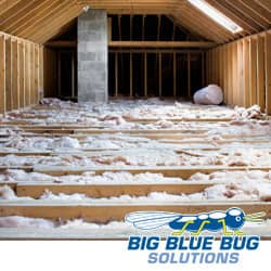 attic in providence with pest control insulation installed