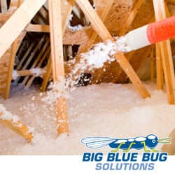 Pest Control Insulation in Rhode Island