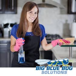 spring cleaning helps avoid pest infestations