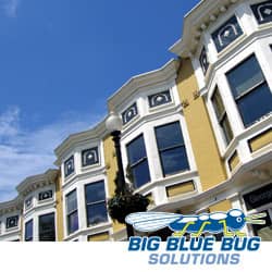 Bed Bug Control In Worcester Apartments