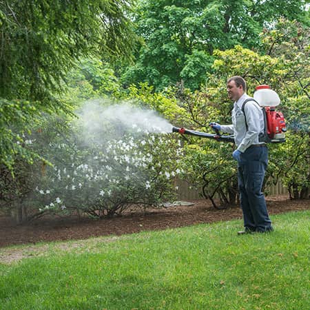 mosquito control technician treating a rhode island lawn