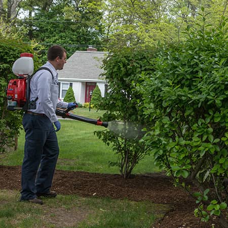 mosquito and tick tech spraying a massachusetts yard