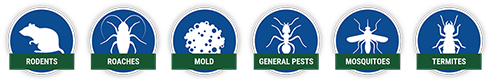 multiple pest icons including rodents roaches mold general pests mosquitoes and termites