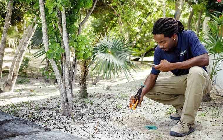 termite sentricon station inspection outside of a home on south caicos island