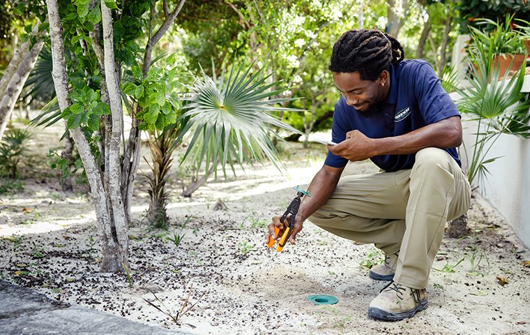 termite sentricon station inspection outside of a home on south caicos island