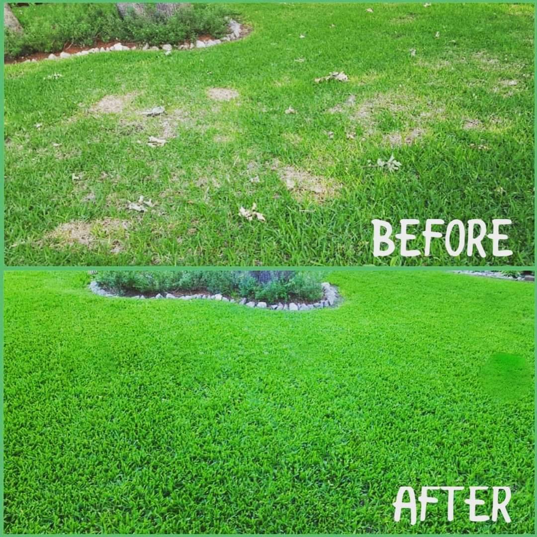before and after image of super carbon rx treatment on a lawn