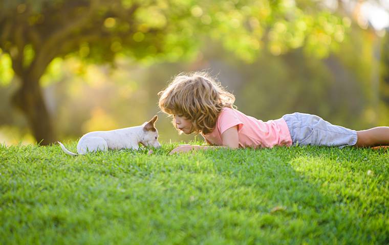 a child and dog on a beautiful green lawn