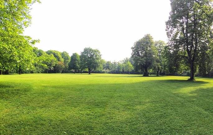 a large arlingtin yard full of green grass and tall trees