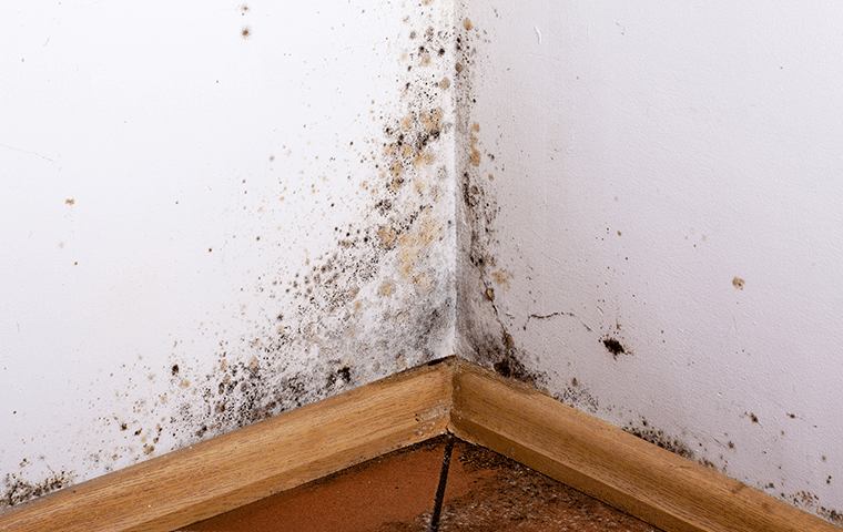 moisture control