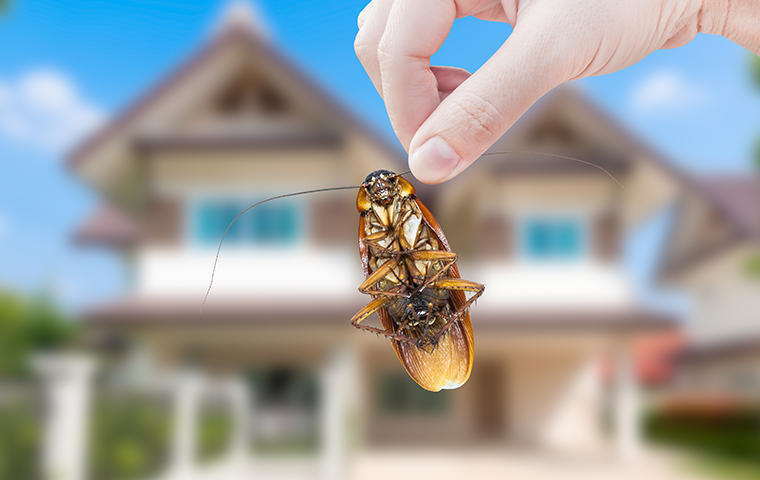 person holding cockroach in front of a house