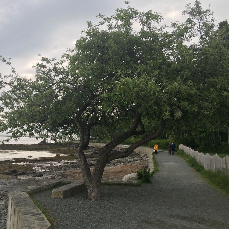 A paved pathway next to a harbor.