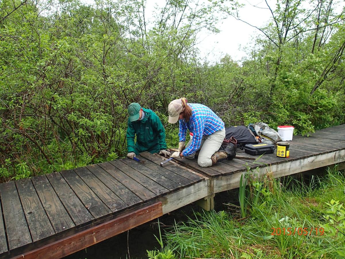 Working on a boardwalk.