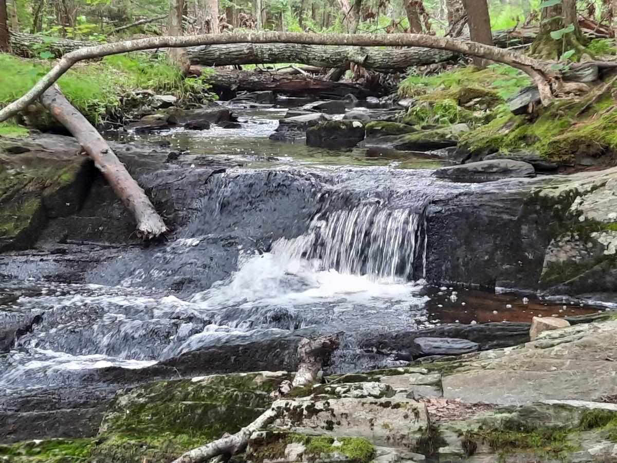 Waterfall along the Pond Trail. Photo credit: Enock Glidden