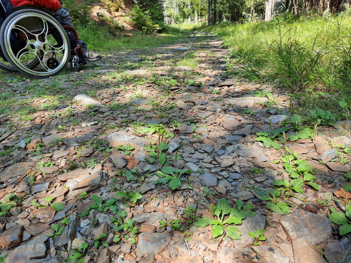 Trail surface on part of the Rangeley River Trail. Photo credit: Enock Glidden