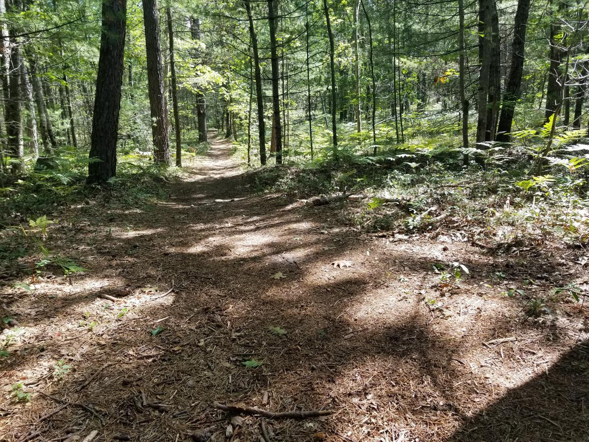 Trail surface on the continuation of the White Trail. Photo credit: Enock Glidden