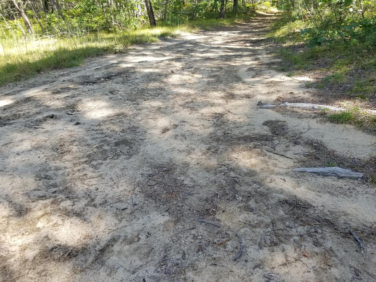 Sandy section of the White Trail. Photo credit: Enock Glidden